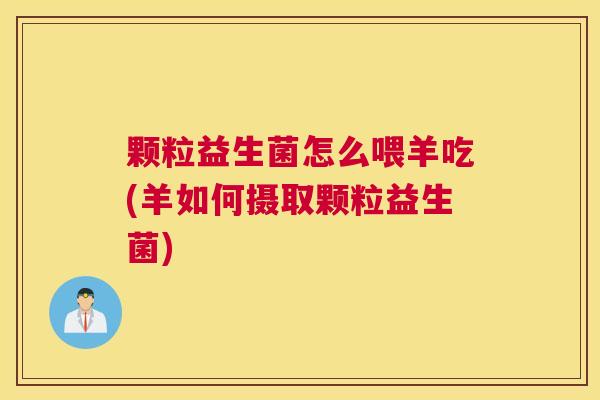 颗粒益生菌怎么喂羊吃(羊如何摄取颗粒益生菌)