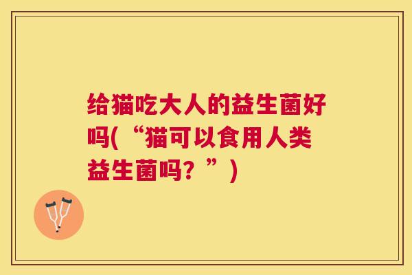 给猫吃大人的益生菌好吗(“猫可以食用人类益生菌吗？”)