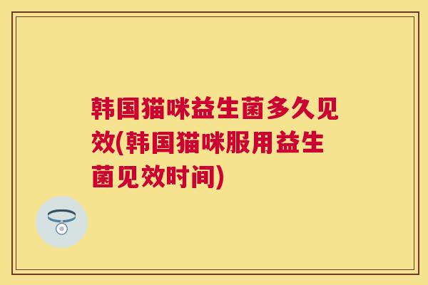 韩国猫咪益生菌多久见效(韩国猫咪服用益生菌见效时间)