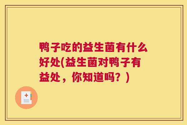 鸭子吃的益生菌有什么好处(益生菌对鸭子有益处，你知道吗？)