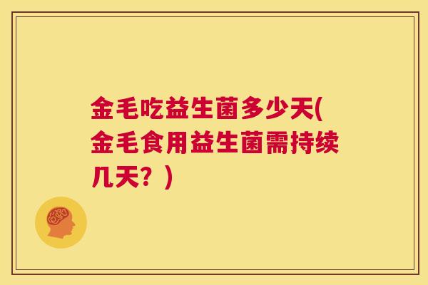 金毛吃益生菌多少天(金毛食用益生菌需持续几天？)