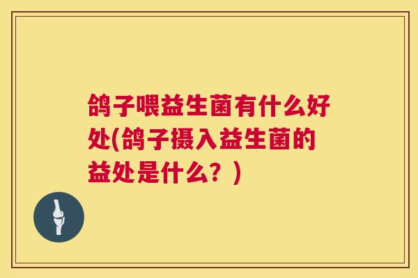 鸽子喂益生菌有什么好处(鸽子摄入益生菌的益处是什么？)
