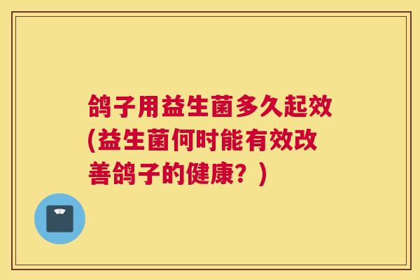 鸽子用益生菌多久起效(益生菌何时能有效改善鸽子的健康？)