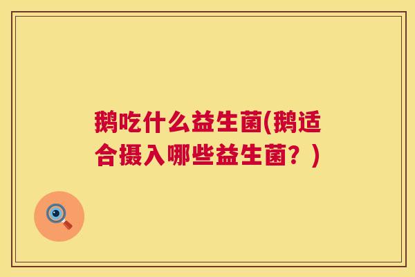 鹅吃什么益生菌(鹅适合摄入哪些益生菌？)