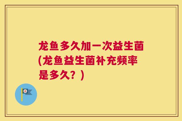 龙鱼多久加一次益生菌(龙鱼益生菌补充频率是多久？)