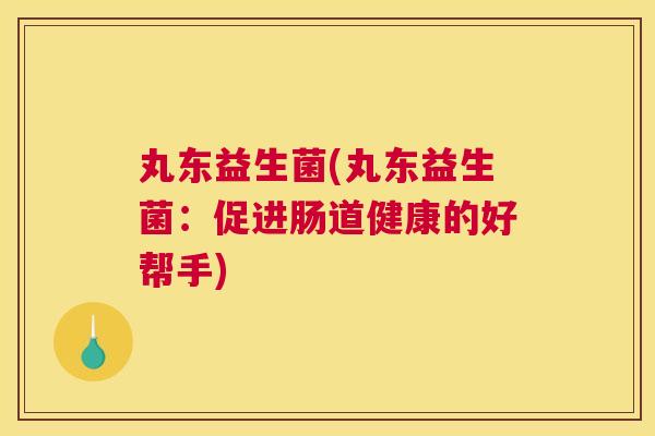 丸东益生菌(丸东益生菌：促进肠道健康的好帮手)