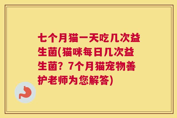 七个月猫一天吃几次益生菌(猫咪每日几次益生菌？7个月猫宠物善护老师为您解答)