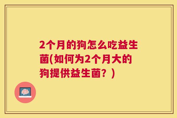 2个月的狗怎么吃益生菌(如何为2个月大的狗提供益生菌？)