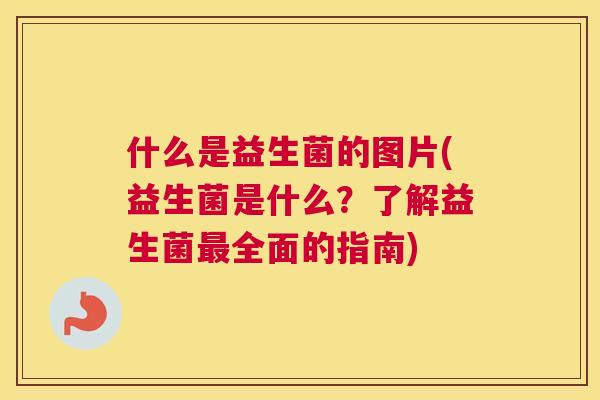 什么是益生菌的图片(益生菌是什么？了解益生菌最全面的指南)
