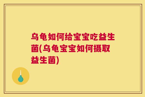 乌龟如何给宝宝吃益生菌(乌龟宝宝如何摄取益生菌)