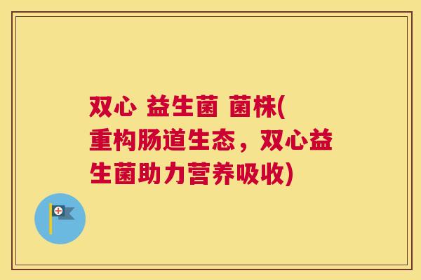 双心 益生菌 菌株(重构肠道生态，双心益生菌助力营养吸收)