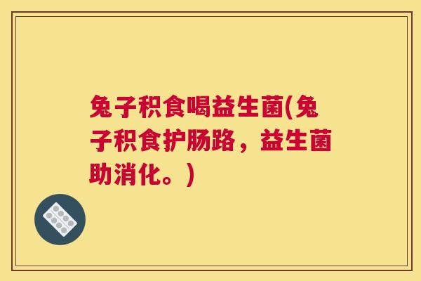 兔子积食喝益生菌(兔子积食护肠路，益生菌助消化。)