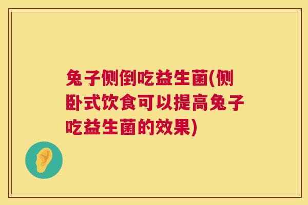 兔子侧倒吃益生菌(侧卧式饮食可以提高兔子吃益生菌的效果)