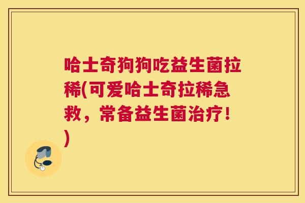 哈士奇狗狗吃益生菌拉稀(可爱哈士奇拉稀急救，常备益生菌治疗！)