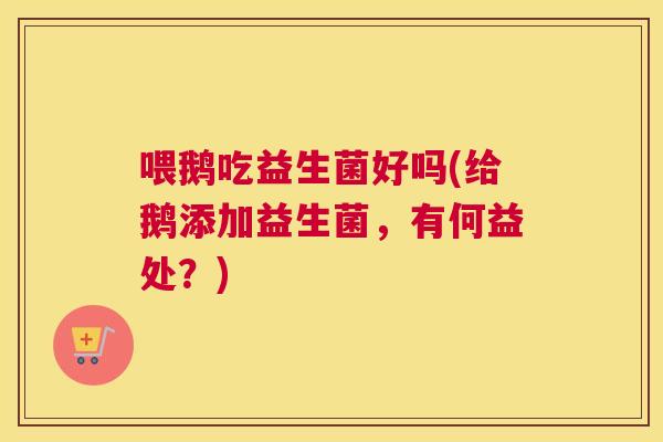 喂鹅吃益生菌好吗(给鹅添加益生菌，有何益处？)