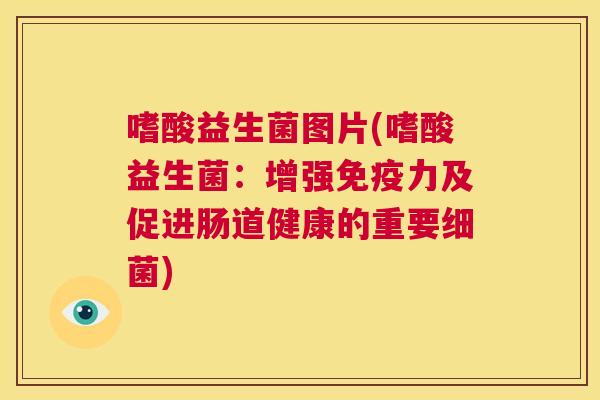 嗜酸益生菌图片(嗜酸益生菌：增强免疫力及促进肠道健康的重要细菌)