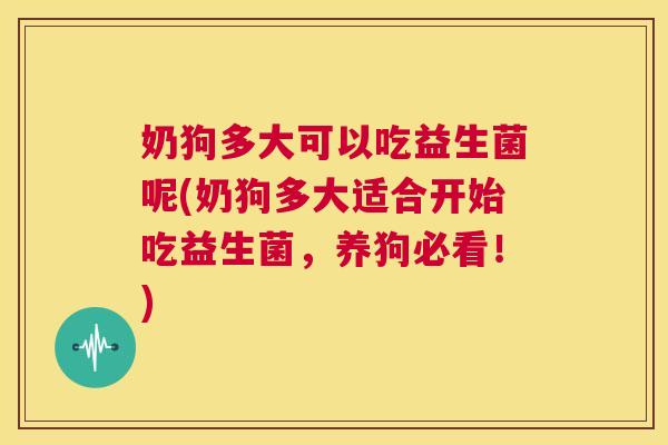 奶狗多大可以吃益生菌呢(奶狗多大适合开始吃益生菌，养狗必看！)