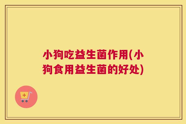 小狗吃益生菌作用(小狗食用益生菌的好处)