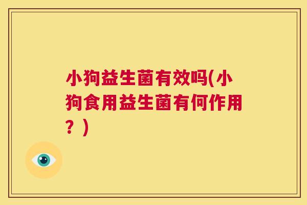 小狗益生菌有效吗(小狗食用益生菌有何作用？)