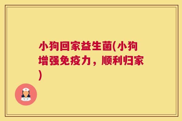 小狗回家益生菌(小狗增强免疫力，顺利归家)