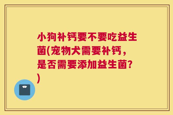 小狗补钙要不要吃益生菌(宠物犬需要补钙，是否需要添加益生菌？)