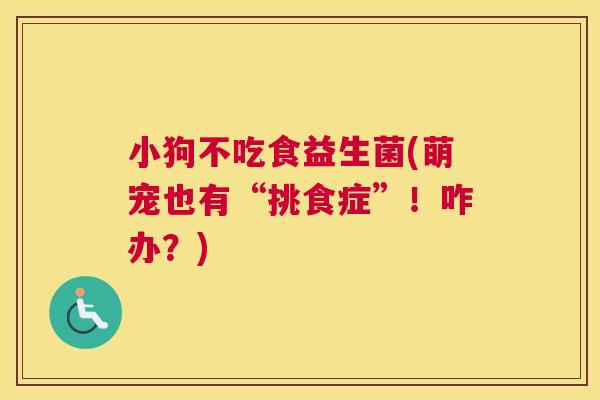 小狗不吃食益生菌(萌宠也有“挑食症”！咋办？)