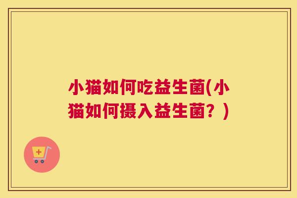 小猫如何吃益生菌(小猫如何摄入益生菌？)