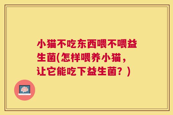 小猫不吃东西喂不喂益生菌(怎样喂养小猫，让它能吃下益生菌？)