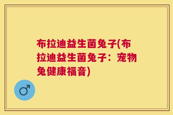 布拉迪益生菌兔子(布拉迪益生菌兔子：宠物兔健康福音)