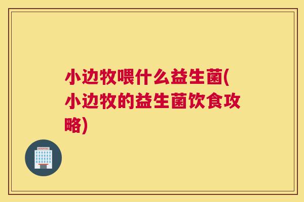 小边牧喂什么益生菌(小边牧的益生菌饮食攻略)