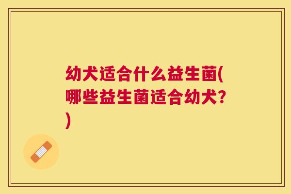 幼犬适合什么益生菌(哪些益生菌适合幼犬？)
