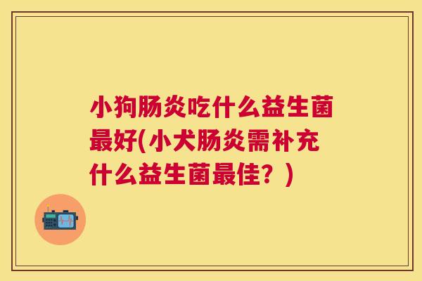 小狗肠炎吃什么益生菌最好(小犬肠炎需补充什么益生菌最佳？)