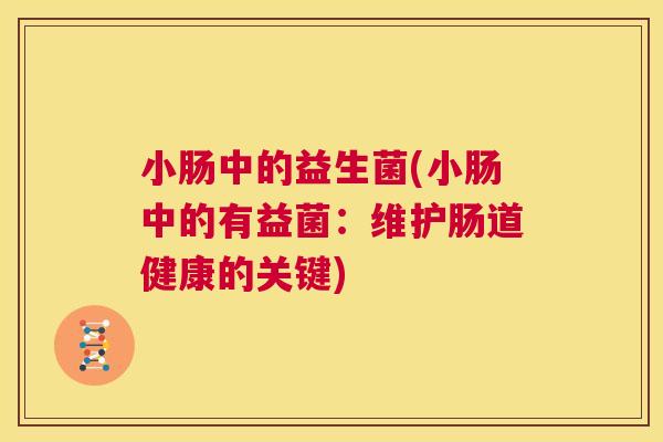 小肠中的益生菌(小肠中的有益菌：维护肠道健康的关键)