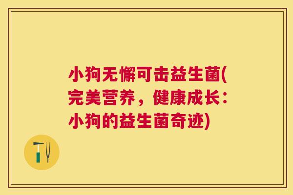 小狗无懈可击益生菌(完美营养，健康成长：小狗的益生菌奇迹)