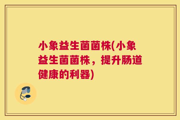小象益生菌菌株(小象益生菌菌株，提升肠道健康的利器)