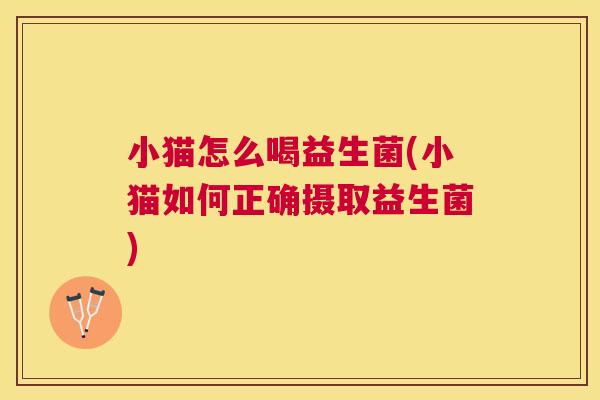 小猫怎么喝益生菌(小猫如何正确摄取益生菌)