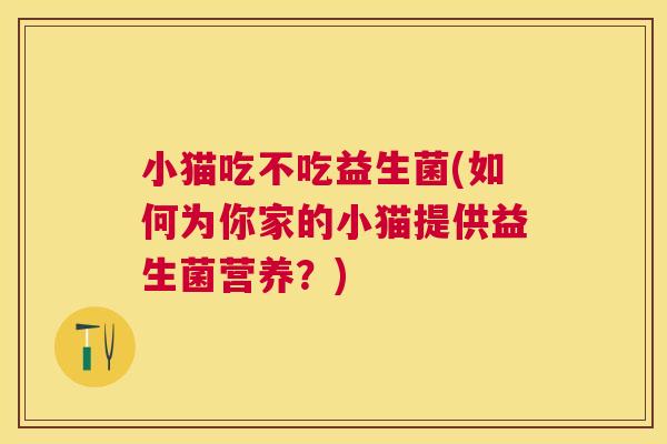 小猫吃不吃益生菌(如何为你家的小猫提供益生菌营养？)