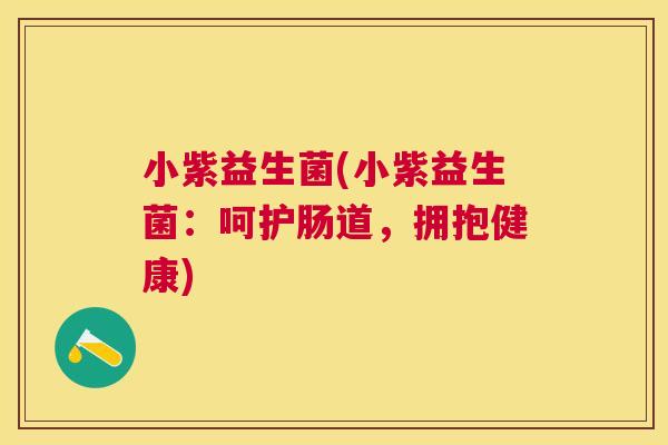 小紫益生菌(小紫益生菌：呵护肠道，拥抱健康)