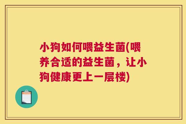 小狗如何喂益生菌(喂养合适的益生菌，让小狗健康更上一层楼)