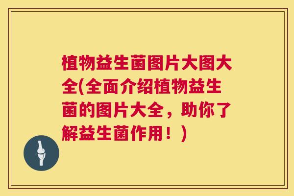 植物益生菌图片大图大全(全面介绍植物益生菌的图片大全，助你了解益生菌作用！)