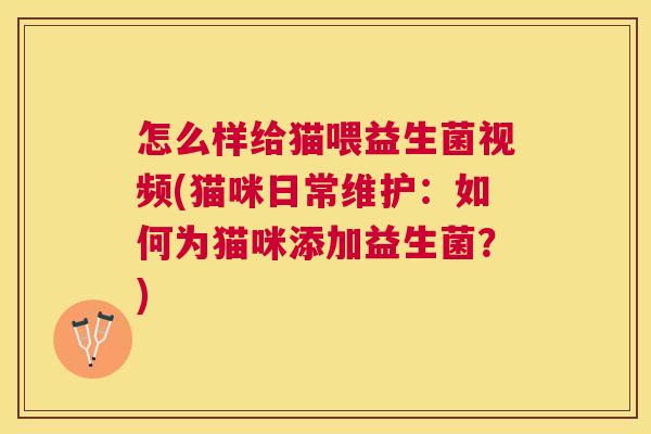 怎么样给猫喂益生菌视频(猫咪日常维护：如何为猫咪添加益生菌？)
