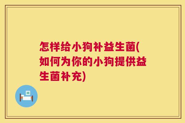 怎样给小狗补益生菌(如何为你的小狗提供益生菌补充)
