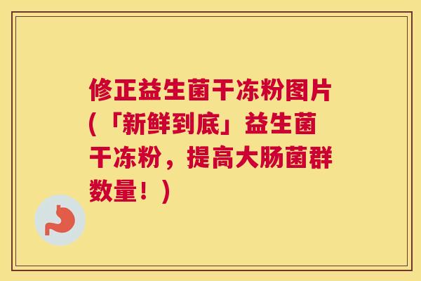 修正益生菌干冻粉图片(「新鲜到底」益生菌干冻粉，提高大肠菌群数量！)