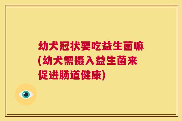 幼犬冠状要吃益生菌嘛(幼犬需摄入益生菌来促进肠道健康)