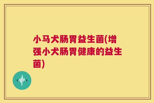 小马犬肠胃益生菌(增强小犬肠胃健康的益生菌)