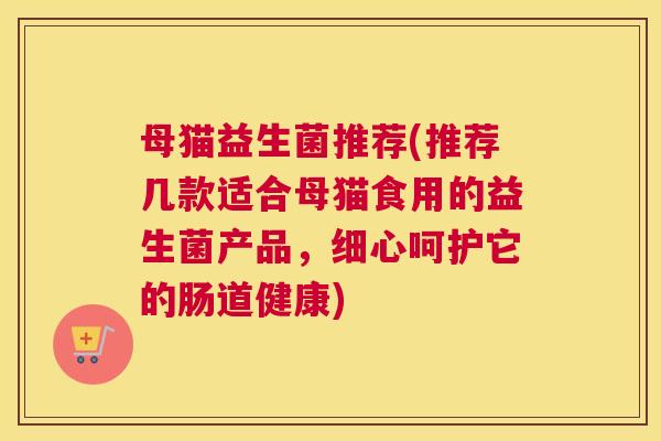 母猫益生菌推荐(推荐几款适合母猫食用的益生菌产品，细心呵护它的肠道健康)