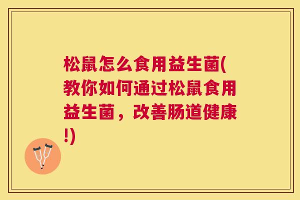 松鼠怎么食用益生菌(教你如何通过松鼠食用益生菌，改善肠道健康!)
