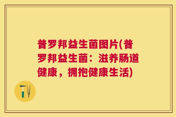 普罗邦益生菌图片(普罗邦益生菌：滋养肠道健康，拥抱健康生活)
