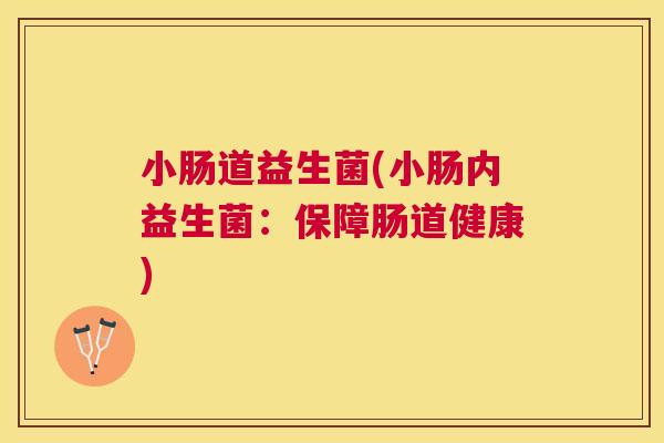 小肠道益生菌(小肠内益生菌：保障肠道健康)