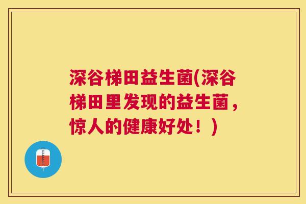 深谷梯田益生菌(深谷梯田里发现的益生菌，惊人的健康好处！)
